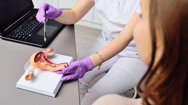 A medical professional wearing purple gloves is pointing at a detailed anatomical model of the female reproductive system during a consultation, while a woman observes attentively; educational demonstration about reproductive health.